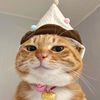 bossmoomin