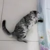 mewlove69