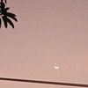 thanhchi_83
