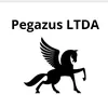 pegazus_ltda