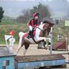 willowjuniorshowjumper