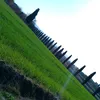 akeqrz_