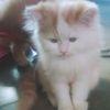 user1554195765891