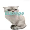 eshere228