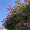 www.n34