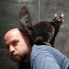 shadowthecat78440