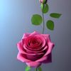 user5736047070813