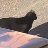 0kok7