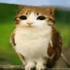 elchikispro234