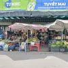 tap_hoa_tuyet_mai