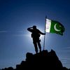 bin_tariq50