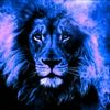 lion02_