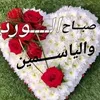 ve_ff0