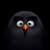 zanofficial_64