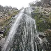 enzo_11.8