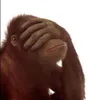 gonzohanno