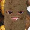 ccimayo