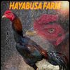 hayabusafarm