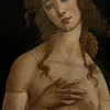 elenadecolorvioleta