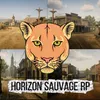 horizon_ssauvagerp.2025