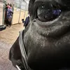 oonanen0.3