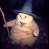 _sonchik_1