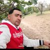 helpwalid