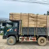 thaiduy05011
