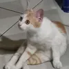 jzjskslslnsnsj