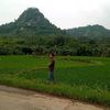 tatang.aja