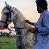 al_haider_royale_star