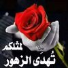 ismailameer2981