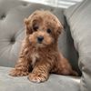 kaithepooh
