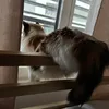 luuliinaaa