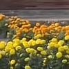 user3456675_