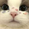 nink_wylyn