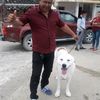 josefreddygodosits