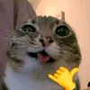 cuteritooou