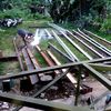 bintang_putra_teknik