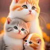 tooktook_2527