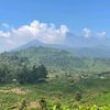 kepoyaaaa680