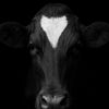 Дашулік🐮❤️