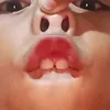 lelaardiana