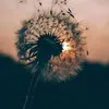 beingbutterfly5