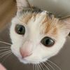 sailormoonkitty21