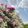 al.harkiii