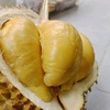 durian_musang_king