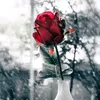 dy8o21nwq6mv