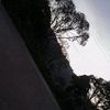 bxnji_5