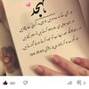kashif88604825